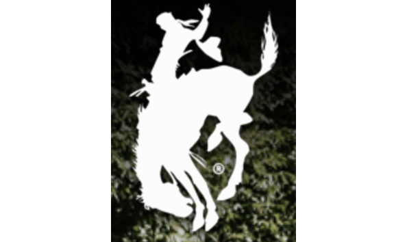 Big image screenshot 2024 03 15 at 4.02.06 pm