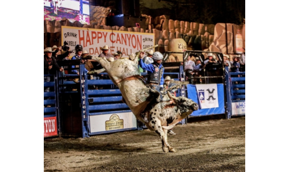 Big image screenshot 2024 03 15 at 4.03.12 pm