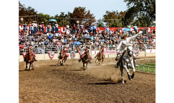 Big image screenshot 2024 03 15 at 4.03.23 pm