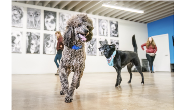 Big image screenshot 2024 03 19 at 12.04.46 pm