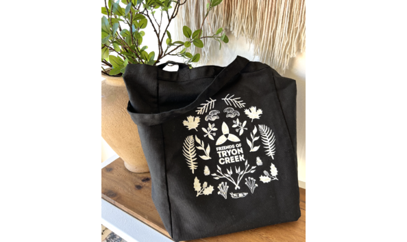 Big image screenshot 2024 03 19 at 1.02.07 pm