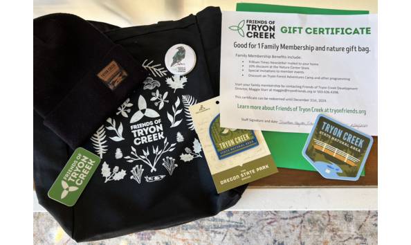 Big image screenshot 2024 03 19 at 1.02.37 pm