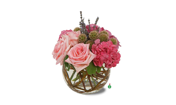 Big image screen shot 2024 03 20 at 11.04.10 am