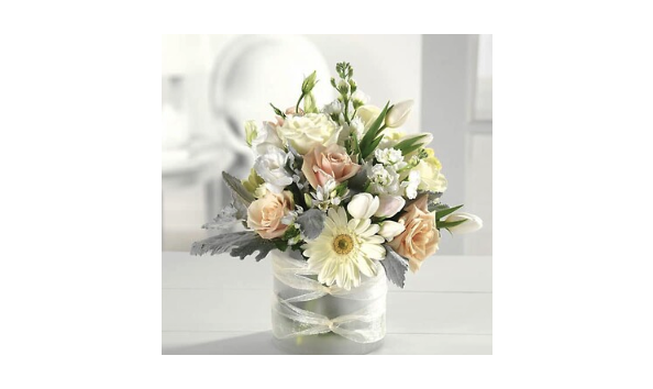 Big image screen shot 2024 03 20 at 11.04.00 am