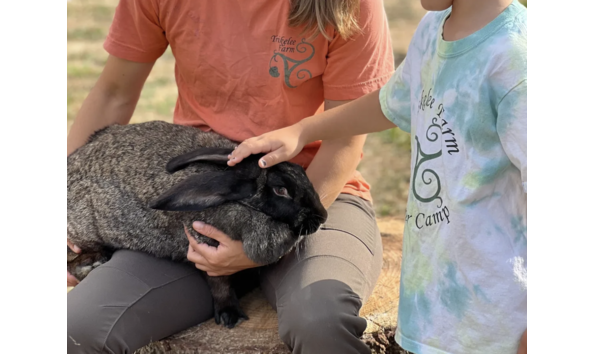 Big image screenshot 2024 03 20 at 9.38.15 am