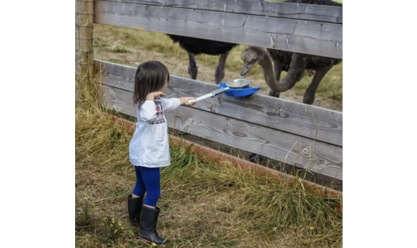 Big image screenshot 2024 03 20 at 9.39.43 am