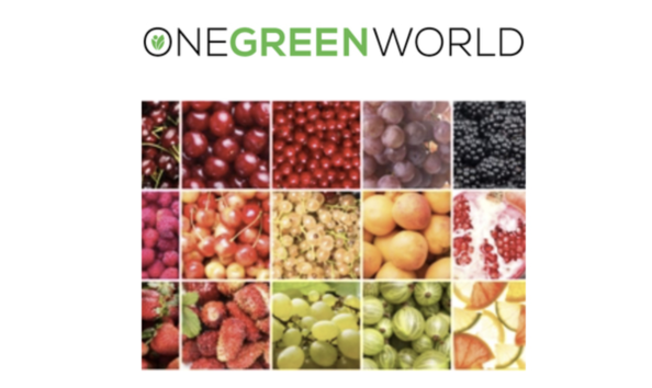 Big image screenshot 2024 03 20 at 3.41.49 pm