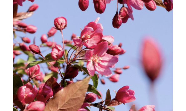 Big image screenshot 2024 03 20 at 3.42.50 pm