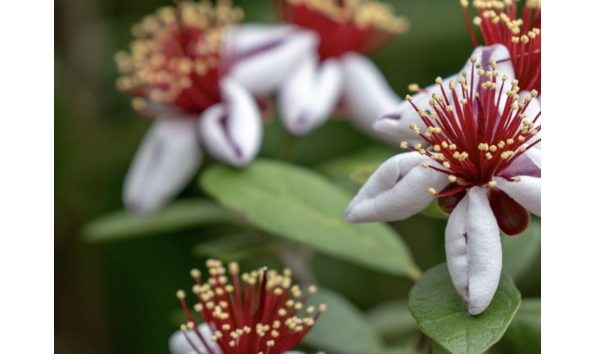 Big image screenshot 2024 03 20 at 3.43.22 pm