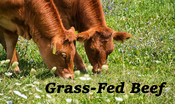 Big image grass fed beef