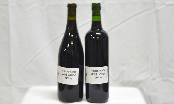 Big image fine wine from the vine