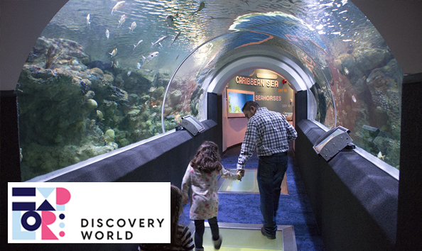 Big image milwaukee fun package2