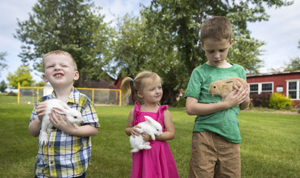 Big image little critters2