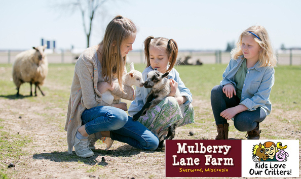 Big image little critters