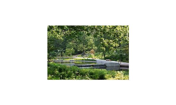 Big image mini magick20180305 49277 1tfzho0