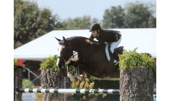 Big image horse show1