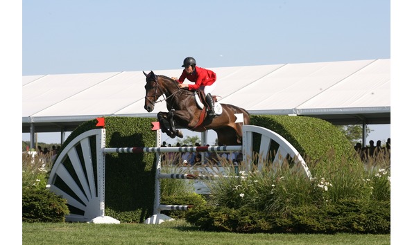 Big image horse show2