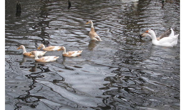 Big image nature trail  050