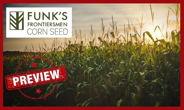 Big image preview live auction   funks corn seed