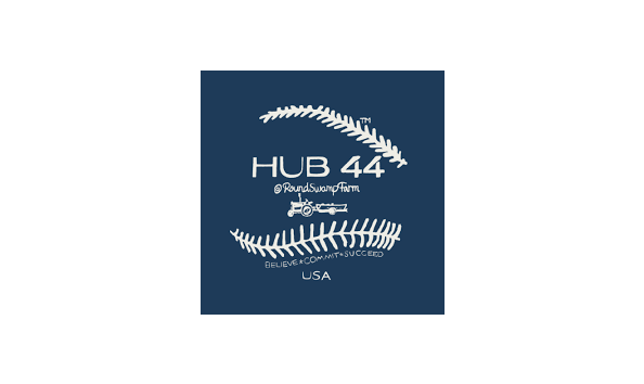 Big image hub44 logo