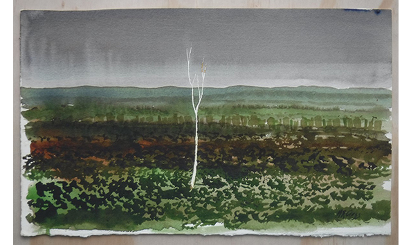 Big image gumlands study  6  600