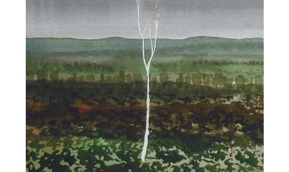 Big image gumlands study  6  detail