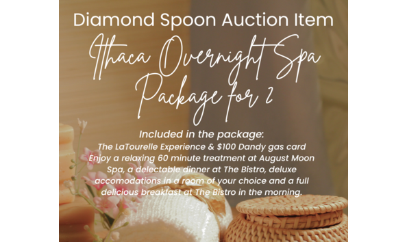 Big image diamond spoon auction item ithaca overnight spa package for 2