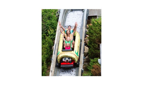 Big image screen shot 2024 04 03 at 7.42.12 am