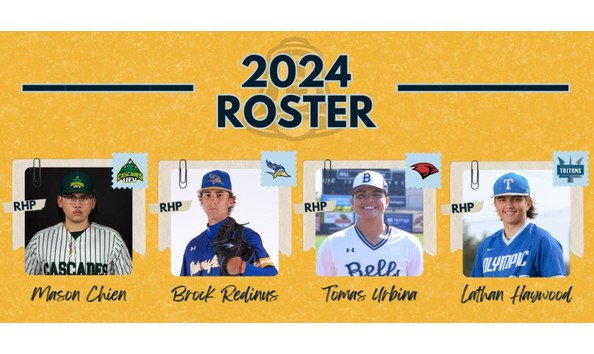 Big image bellingham bells pic