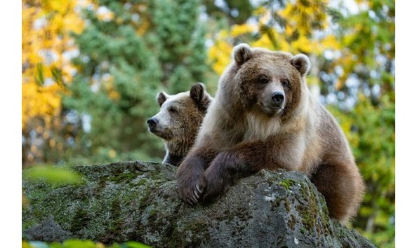 Big image seattle family fun pic 1