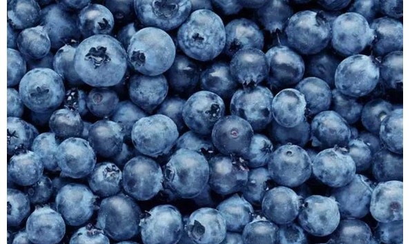 Big image gardening pic 3