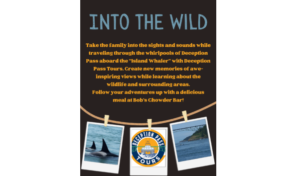 Big image into the wild card 1