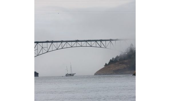 Big image into the wild pic 2