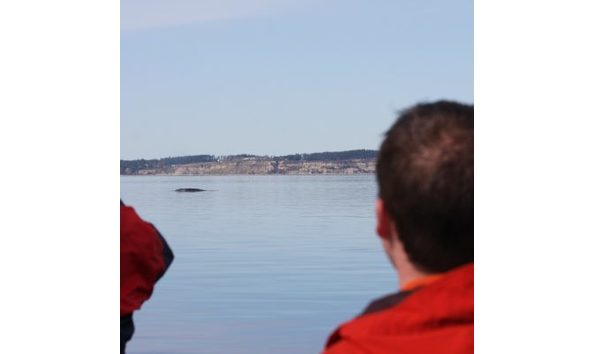 Big image into the wild pic 3