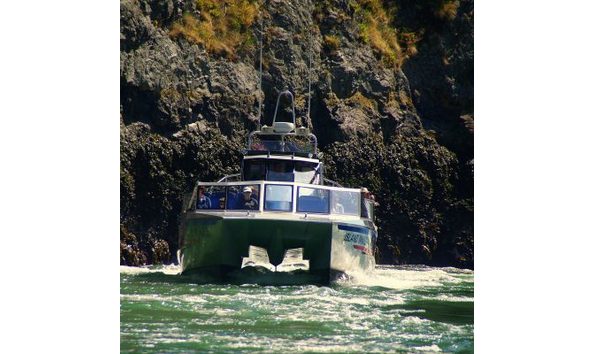 Big image into the wild pic