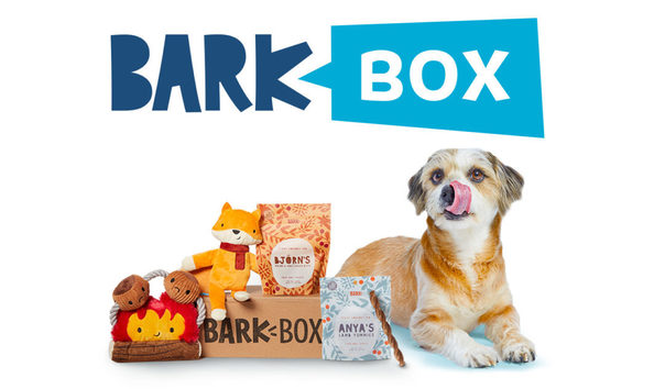 Big image pet lover pic 2