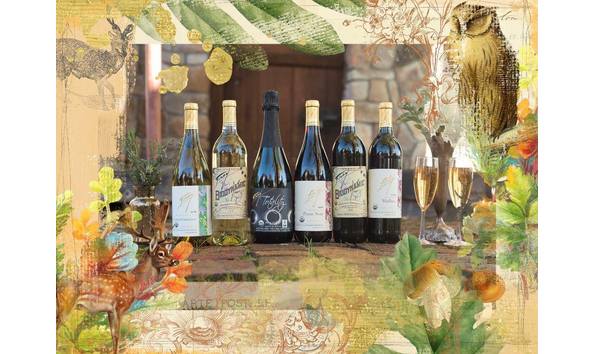 Big image 24837603 10156069575392376 2772627647883854117 o