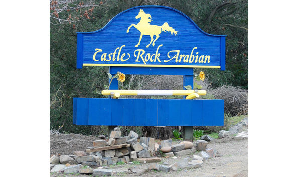 Big image c3852e86 1c1d 4085 931d 1fbd2b73b23f