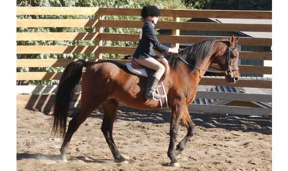 Big image 0cda7ad5 a0ba 449c ad91 31772720f739