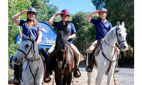 Big image 9b55e1c6 864e 498f 8c85 c6a4150b0e15