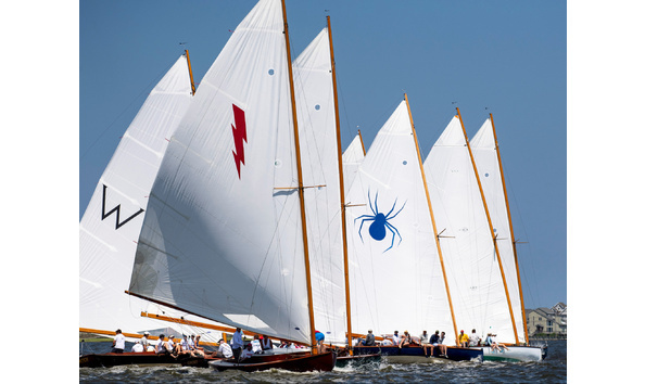 Organization Main Image