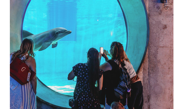 Big image clearwater marine aquarium main