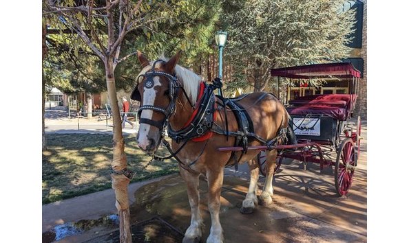 Big image pxl 20221030 184245203.mp