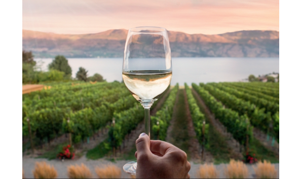 Big image vivid tours 3