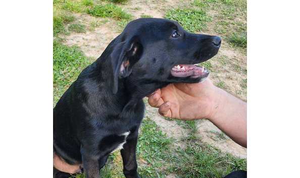 Big image image000001  1 