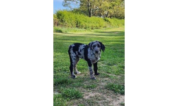 Big image image000002