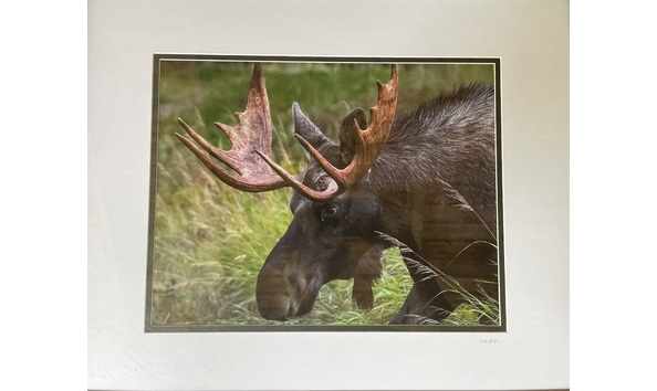 Big image mini magick20240416 8729 1wzkw0l