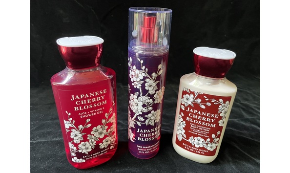 Big image mini magick20240416 8729 vfvcms