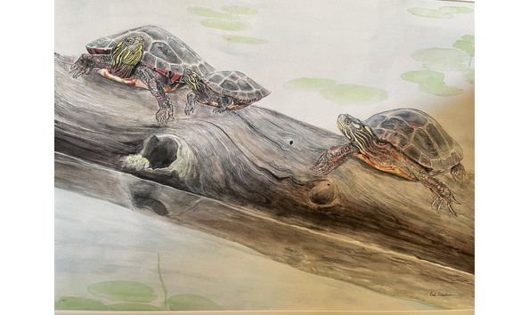 Big image mini magick20240416 8729 1744gai