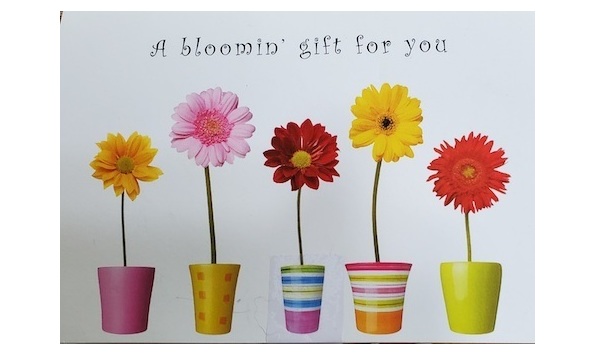 Big image mini magick20240416 8729 yssbsd